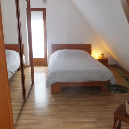 Superbe appartement climatisé en résidence Betschdorf Exterior foto