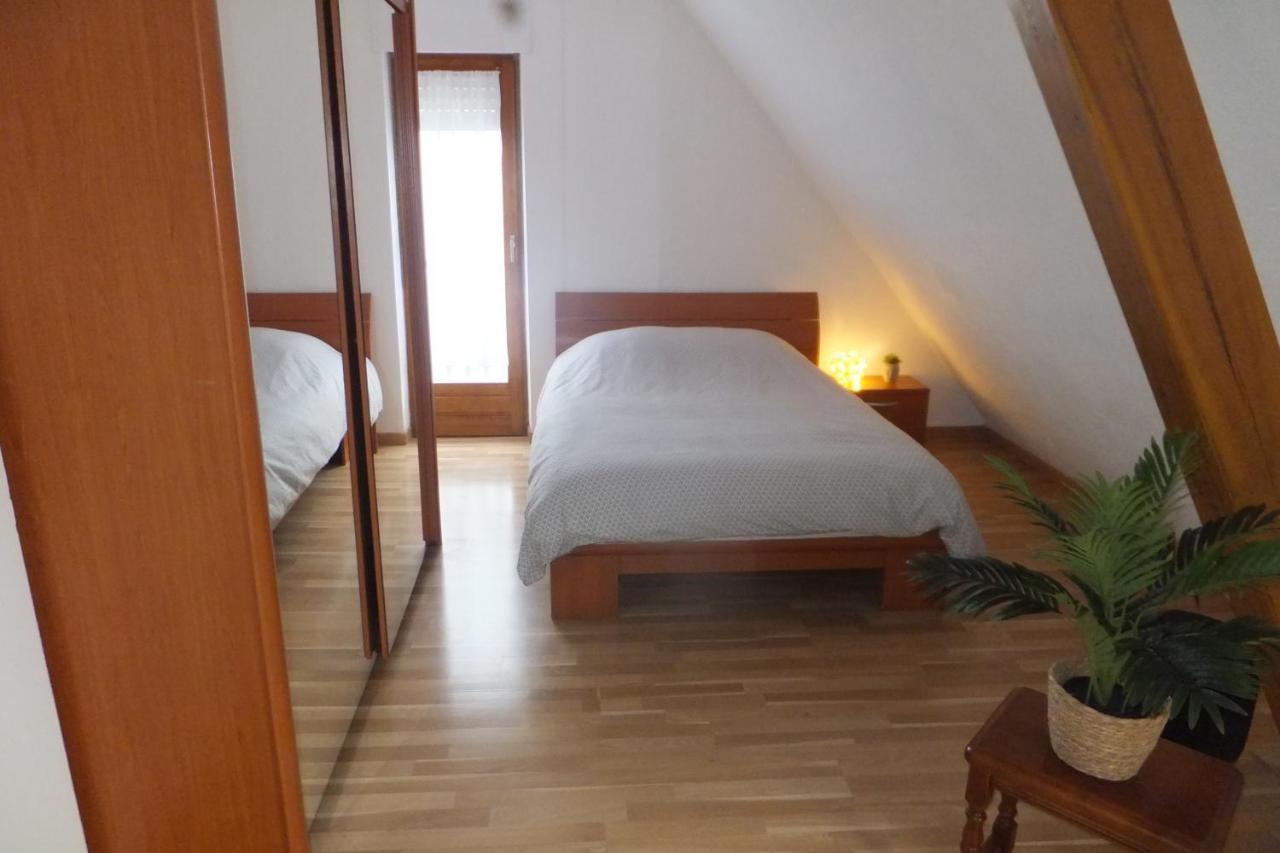 Superbe appartement climatisé en résidence Betschdorf Exterior foto