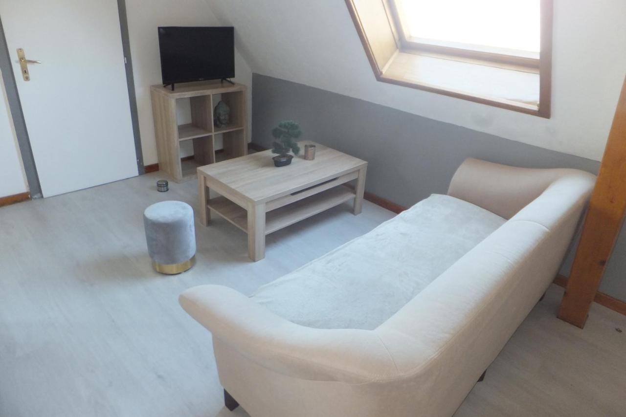 Superbe appartement climatisé en résidence Betschdorf Exterior foto